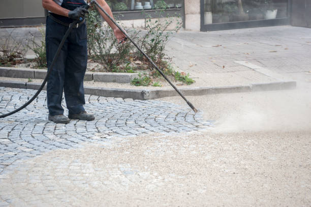 Best Sidewalk and Walkway Cleaning  in Island Walk, FL
