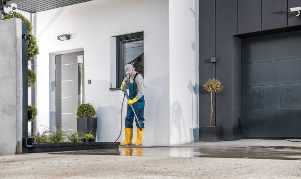 Best Dumpster Area Cleaning  in Island Walk, FL